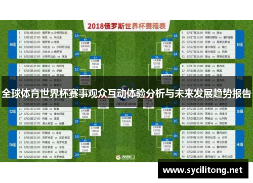 全球体育世界杯赛事观众互动体验分析与未来发展趋势报告