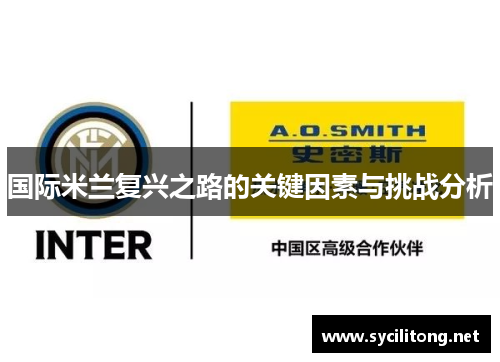 国际米兰复兴之路的关键因素与挑战分析
