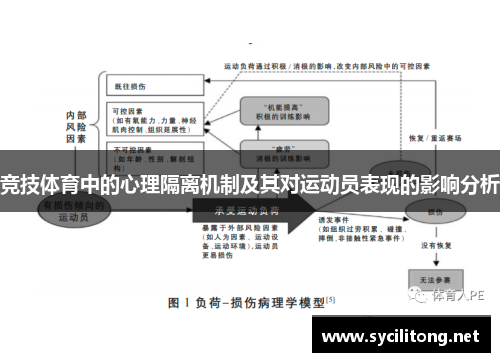 竞技体育中的心理隔离机制及其对运动员表现的影响分析