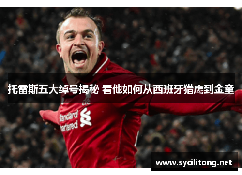 托雷斯五大绰号揭秘 看他如何从西班牙猎鹰到金童