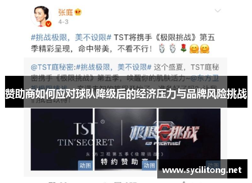 赞助商如何应对球队降级后的经济压力与品牌风险挑战 赞助商如何应对球队降级后的经济压力与品牌风险挑战