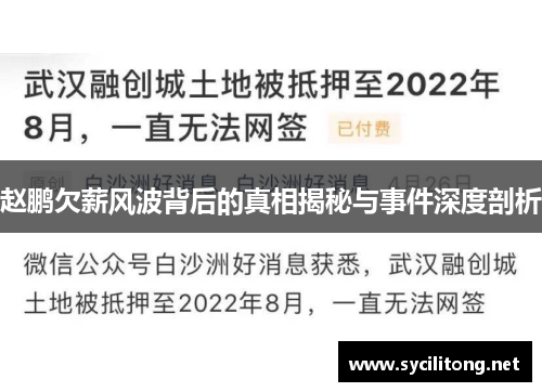 赵鹏欠薪风波背后的真相揭秘与事件深度剖析
