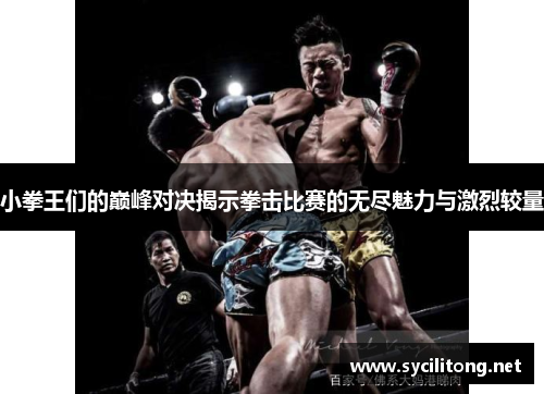 小拳王们的巅峰对决揭示拳击比赛的无尽魅力与激烈较量