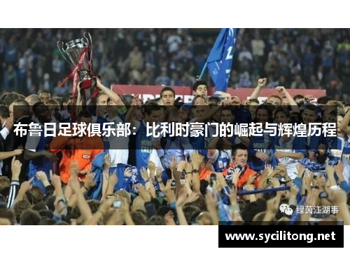 布鲁日足球俱乐部：比利时豪门的崛起与辉煌历程