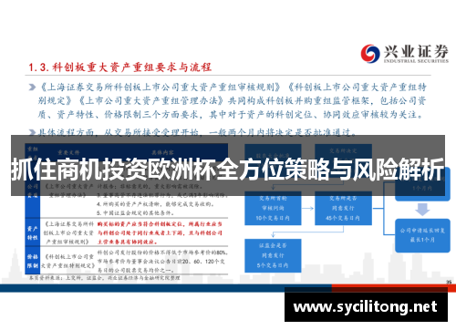 抓住商机投资欧洲杯全方位策略与风险解析