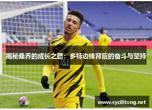 揭秘桑乔的成长之路:多特边锋背后的奋斗与坚持 揭秘桑乔的成长之路:多特边锋背后的奋斗与坚持