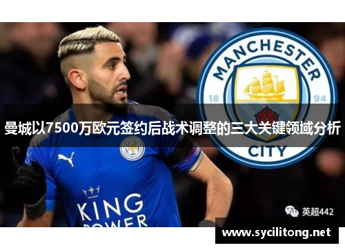 曼城以7500万欧元签约后战术调整的三大关键领域分析