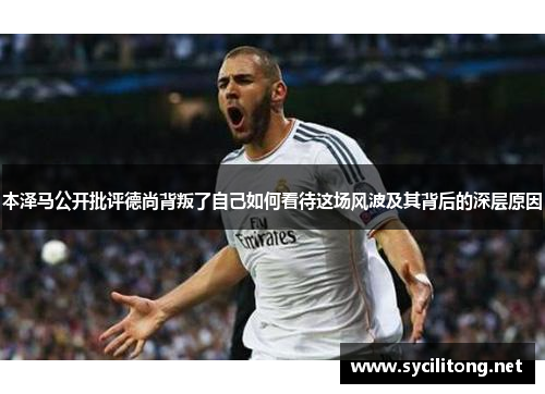 本泽马公开批评德尚背叛了自己如何看待这场风波及其背后的深层原因