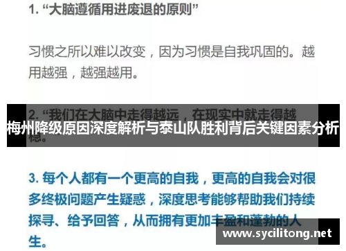 梅州降级原因深度解析与泰山队胜利背后关键因素分析